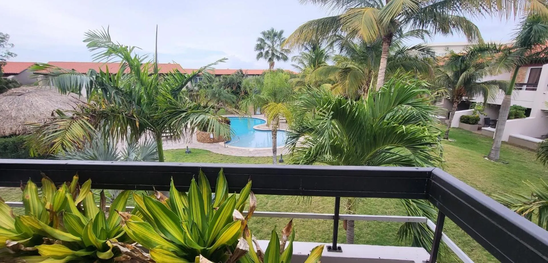 Eagle Beach Luxury House, Walking Distance To The Beach Palm Beach 0*,